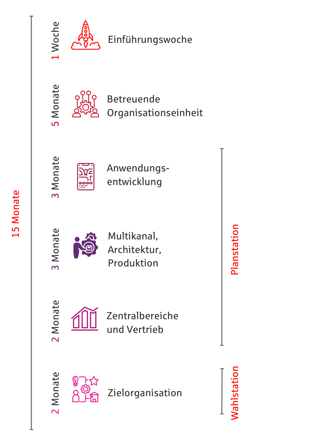 Das Traineeprogramm im Überblick