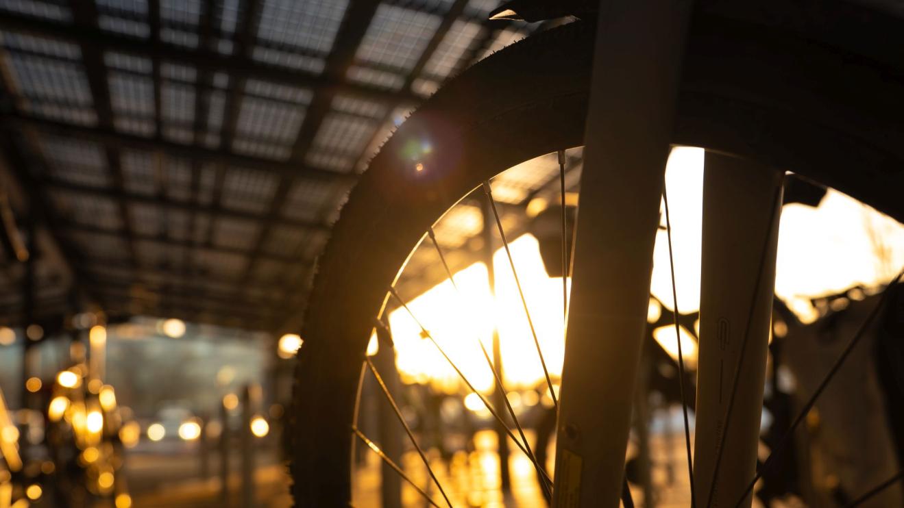 Klimawandel (Environmental)